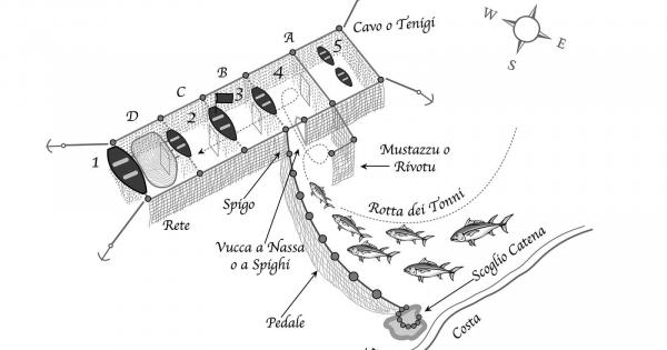 Schema di una tonnara