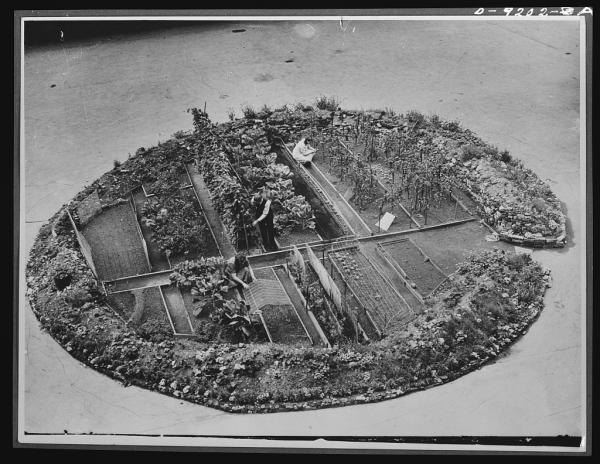 Dig For Victory (in a bomb crater, London)