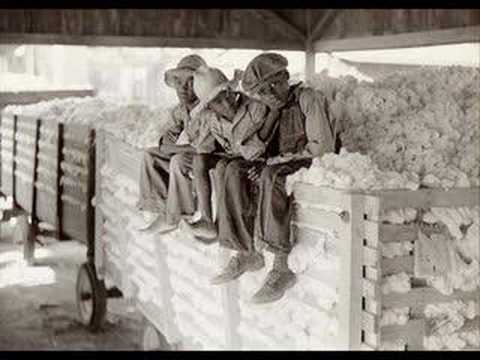 Cotton Field Blues