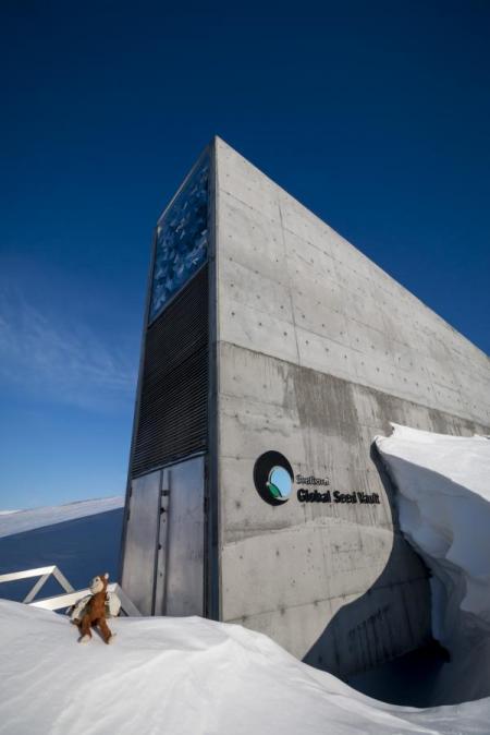 Present-day Noah's Ark on Mount Svalbard