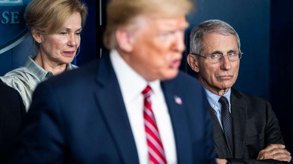 Fauci vs. Trump